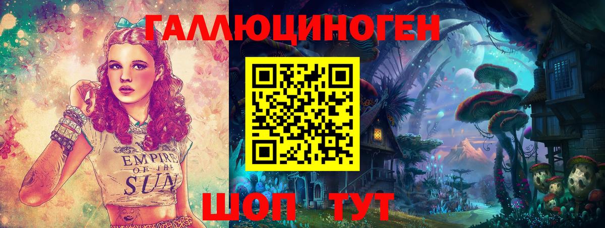 Галлюциногенные грибы прущие грибы Гусиноозёрск