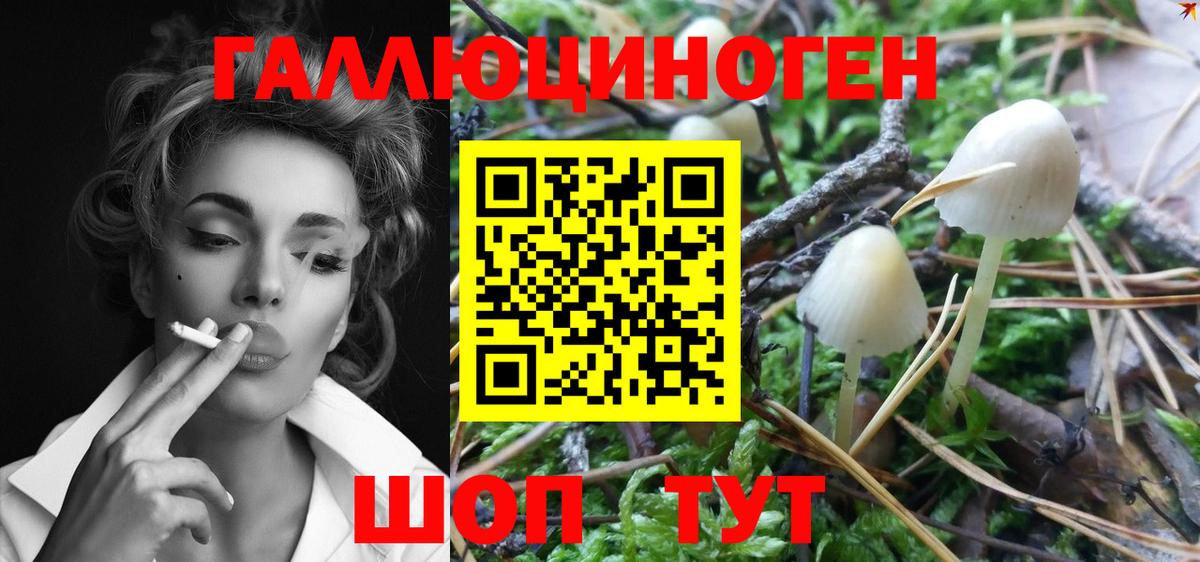 Галлюциногенные грибы Magic Shrooms  Вход с VPN  где найти наркотики  Гусиноозёрск 